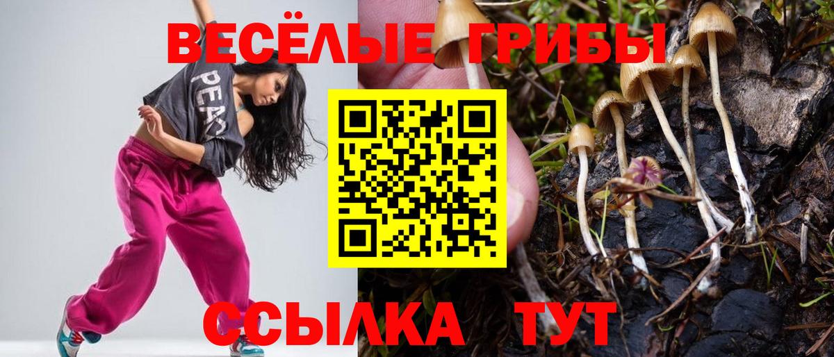 Псилоцибиновые грибы MAGIC MUSHROOMS  Вход с VPN  Балашиха 