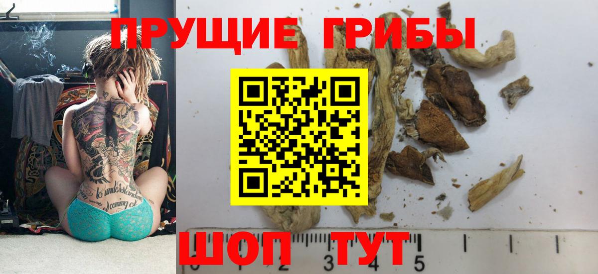 Галлюциногенные грибы Magic Shrooms Балашиха